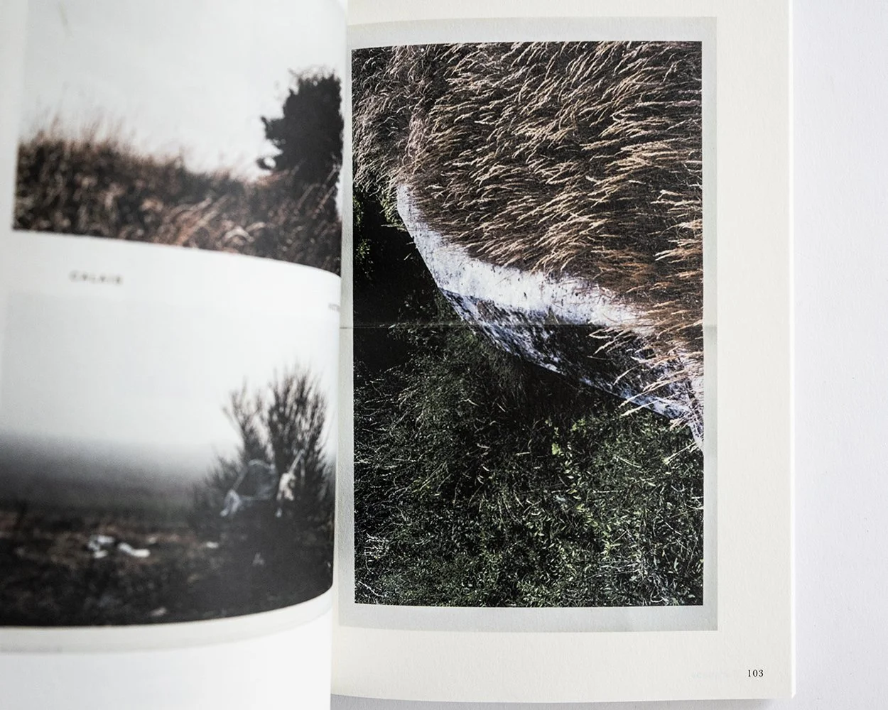 Kodachrome Luigi Ghirri — bookdummypress